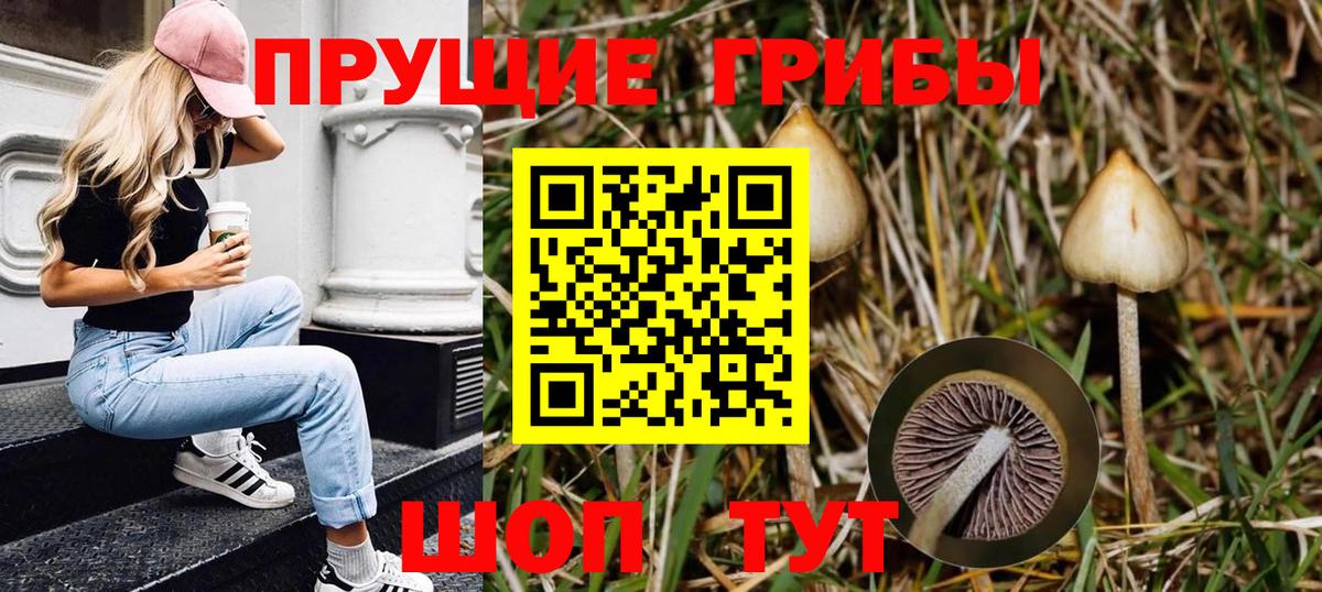 Рыбинск  Псилоцибиновые грибы Psilocybine cubensis  Вход с VPN  Псилоцибиновые грибы MAGIC MUSHROOMS 