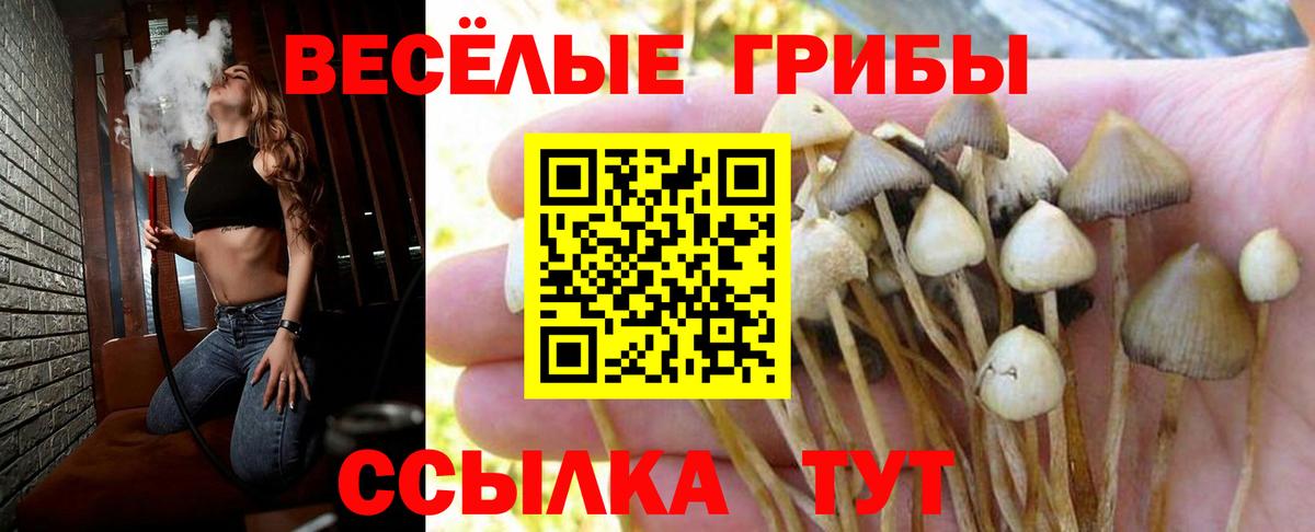 Псилоцибиновые грибы мухоморы Рыбинск